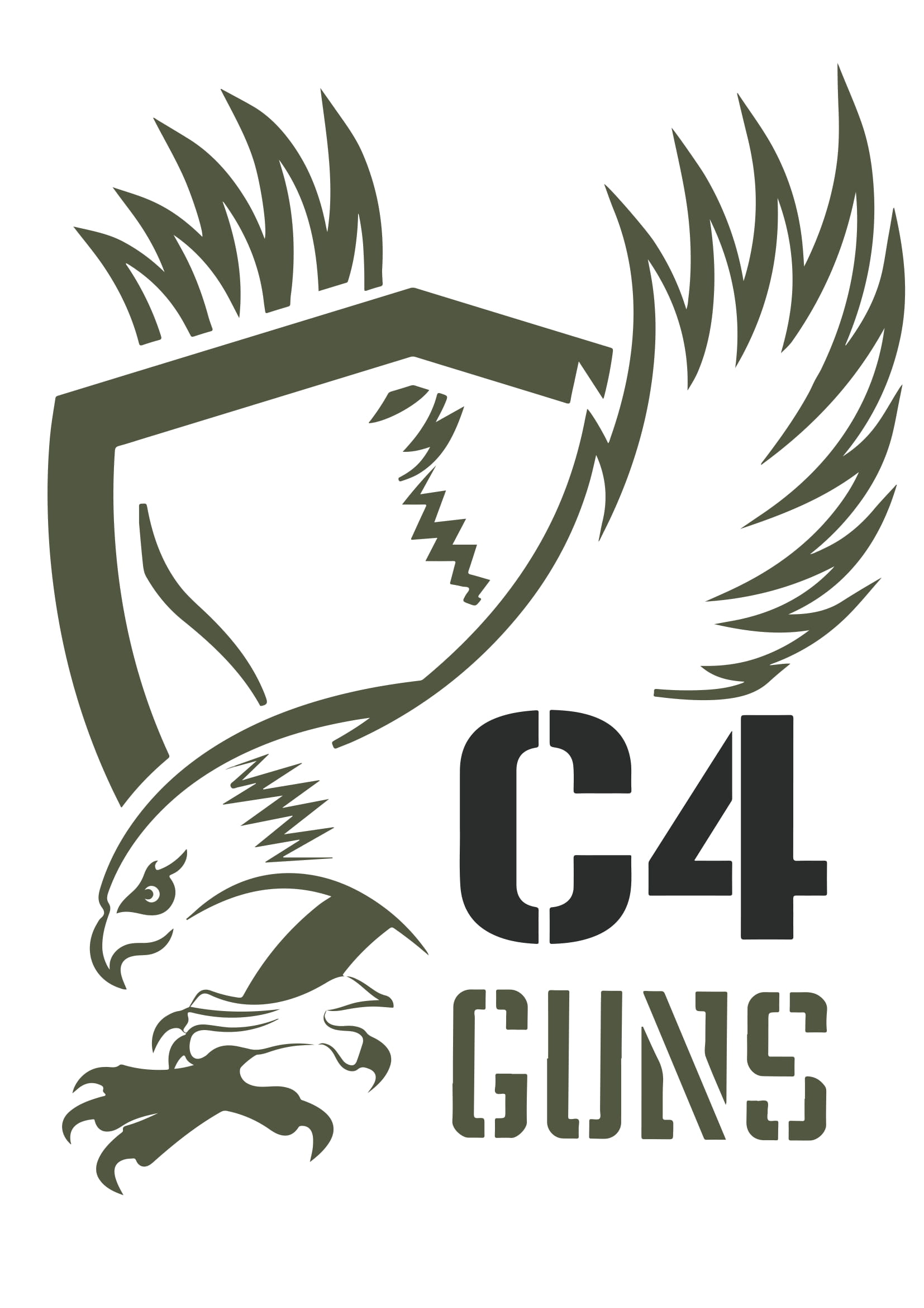 c4guns logo